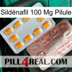 Sildénafil 100 Mg Pilule new13
